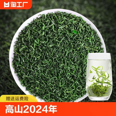 2024新茶日照春茶绿茶叶