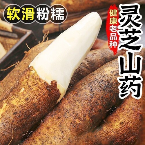 【优质】新鲜粉糯林芝山药云南特产新鲜当季时令农家蔬菜山药高山