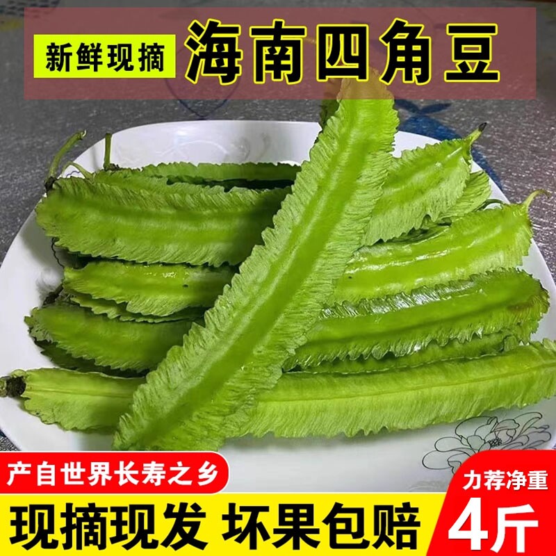 海南四角豆四棱豆新鲜【净重包邮】龙角豆到家蔬菜皇帝豆三亚特产