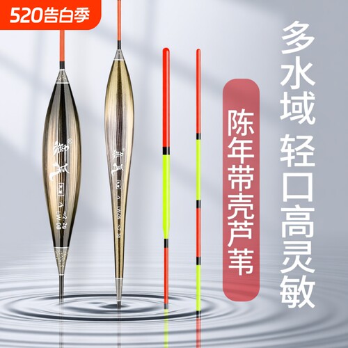 带壳芦苇鲫鲤混养加粗超醒目浮漂