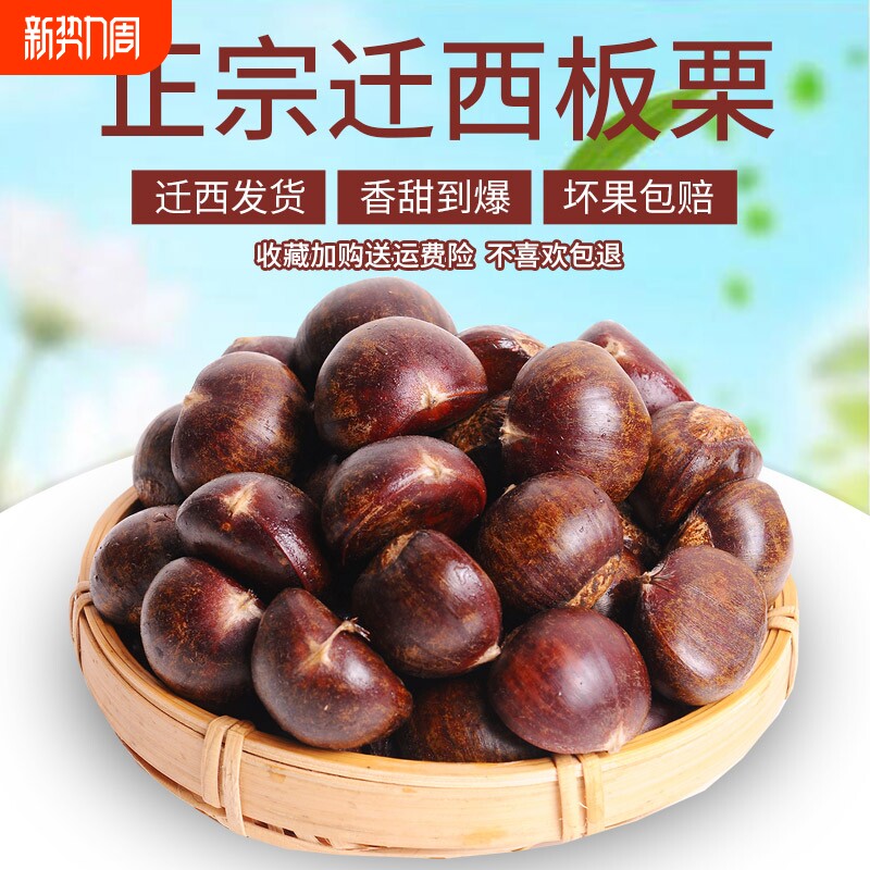 2025正宗迁西板栗生新鲜河北栗子大板栗唐山毛板栗燕山小油栗板粟