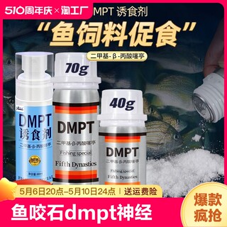 钓鱼小药石dmpt神经诱导素诱鱼开口添加剂黑坑钓鱼饵料散装溪流