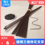 蝴蝶兰花支架兰夹子支撑杆植物爬藤花卉固定蔓藤类专用园艺兰花夹