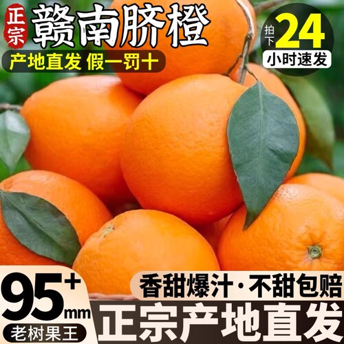 正宗江西赣南脐橙新鲜橙子甜橙当季水果大果赣州产地直发现摘现发