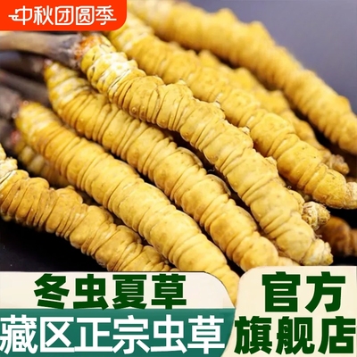 野生虫草头期干货虫高档年货礼盒装非西藏冬虫夏草礼盒正品高海拔