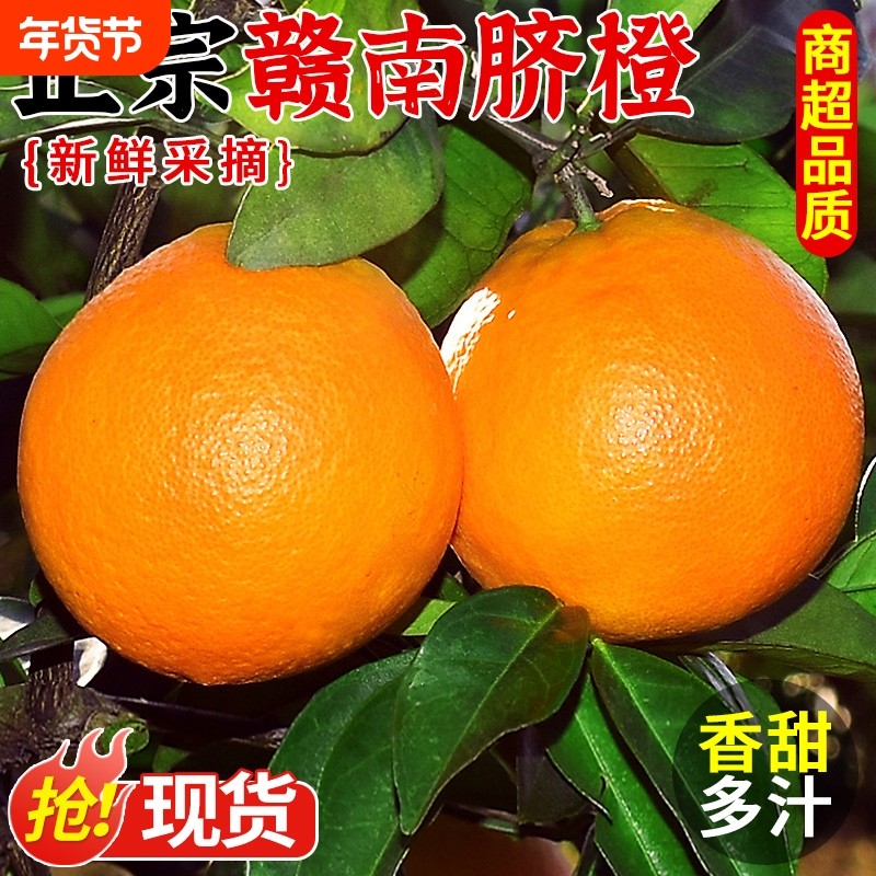江西赣南脐橙橙子新鲜水果甜果冻冰糖手剥橙当季整箱大果9斤包邮,水产肉类/新鲜蔬果/熟食,橙,淘宝优惠券,粉丝福利购,淘宝优惠卷