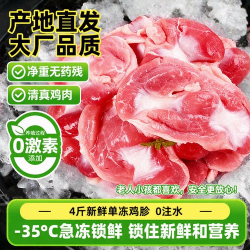 大号鸡珍新鲜冷冻整箱批发