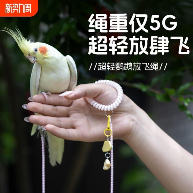 鹦鹉专用放飞绳超轻不伤脚虎皮牡丹玄凤外出牵引绳遛鸟小鸟用八哥