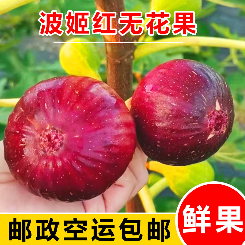 空运包邮云南新鲜无花果红皮鲜果孕妇儿童可食波姬红超甜水果整箱