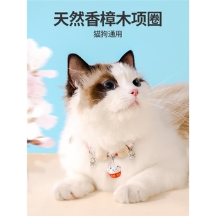 猫咪项圈狗狗植物项圈樟木猫铃铛长命锁围脖颈圈项链配饰宠物用品