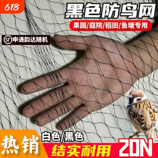 涤纶防护网高强涤纶合股防鸟网果园果树大棚防鸟天网户外鱼塘养殖