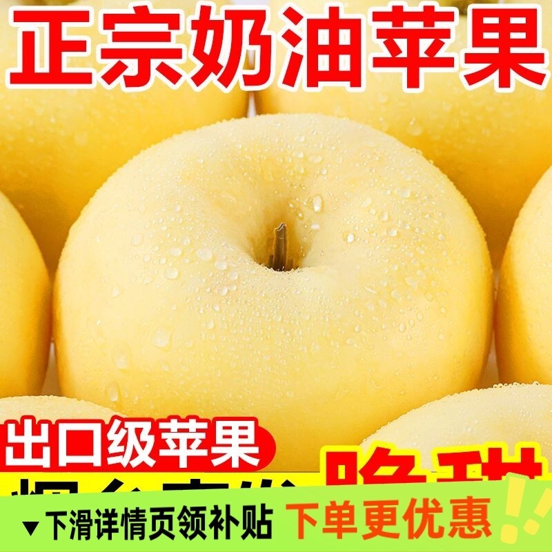 山东烟台黄金奶油富士苹果当季新鲜水果整箱5斤现摘糖心脆甜多汁