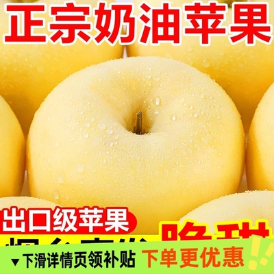 正宗山东烟台黄金奶油富士苹果
