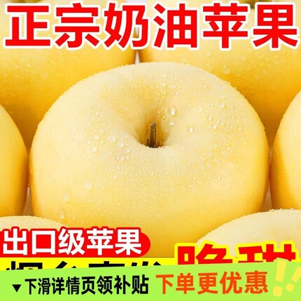 山东烟台黄金奶油富士苹果当季新鲜水果整箱5斤现摘糖心脆甜多汁