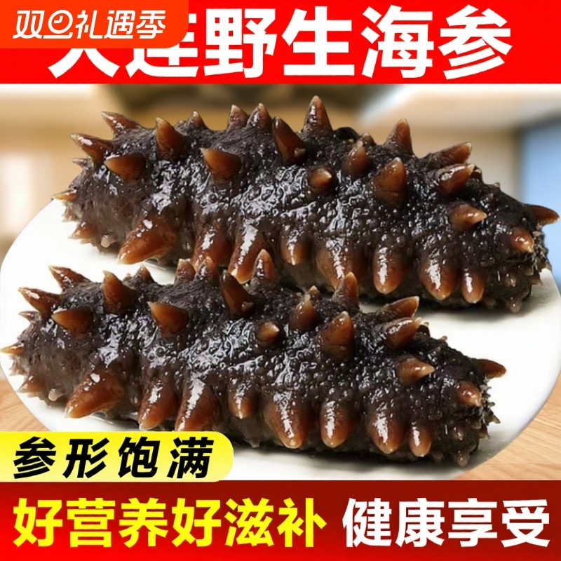 新鲜即食海参刺参野生长岛辽参500g鲜活渗干货大连礼盒水产冷冻