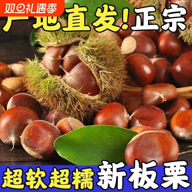 2025新货板栗生新鲜大板栗野生毛栗子应季蔬菜当季现摘果农配送