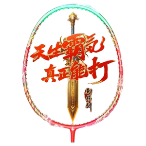 PEAK/匹克羽毛球拍碳素纤维高弹力超轻十大神器耐打成人学生套装
