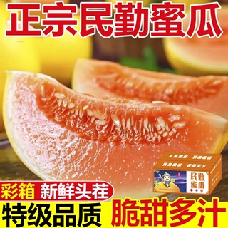 甘肃民勤蜜瓜沙漠甜瓜新鲜水果当季黄河香瓜金红宝整箱哈密瓜黄金
