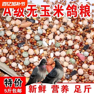 鸽粮50斤优质高粱玉米粒清除鸽子包邮营养饲料小麦无玉米幼鸽粮食