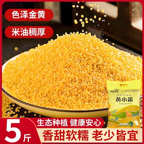 陕北米脂黄小米5斤陕西小米米脂小米粟米五谷杂粮小米粥油小黄米
