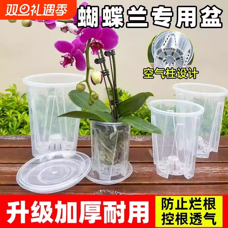 透明控根盆兰花水苔蝴蝶兰专用塑料花盆透气镂空沥水家用树脂