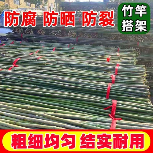 竹竿爬藤架蔬菜攀爬架耐腐耐用