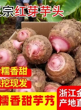 红嘴芋头新鲜浙江金华5斤批发红芽农家现挖小芋仔毛芋艿香芋粉糯