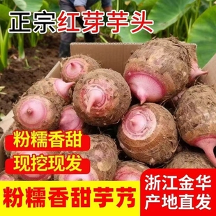 红嘴红芽芋头新鲜浙江金华5斤批发农家现挖小芋仔毛芋艿香芋粉糯