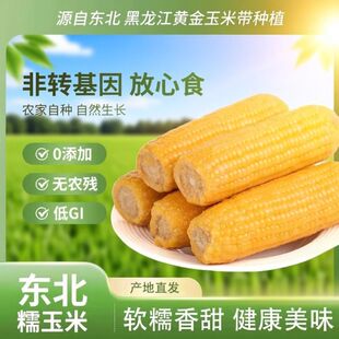 东北头茬新鲜糯玉米香甜拉丝营养早餐健康粗粮加热即食大棒真空装