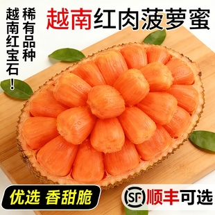 红肉红心菠萝蜜越南进口一整个波罗蜜脆当季新鲜水果整箱包邮干苞