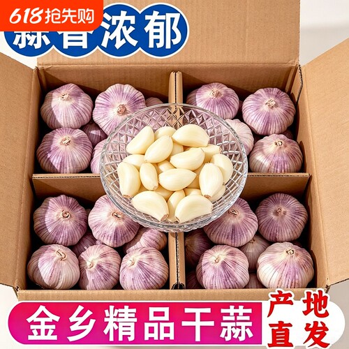 【热卖中】紫皮大蒜新干蒜金乡干大蒜山东多瓣大蒜头优质蒜子商用
