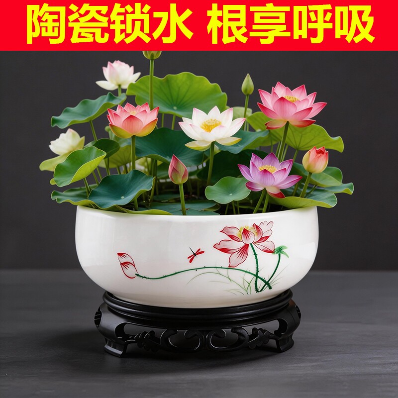 水仙花陶瓷无孔水培花盆特价大号铜钱草睡莲专用水培盆莲花带托盘