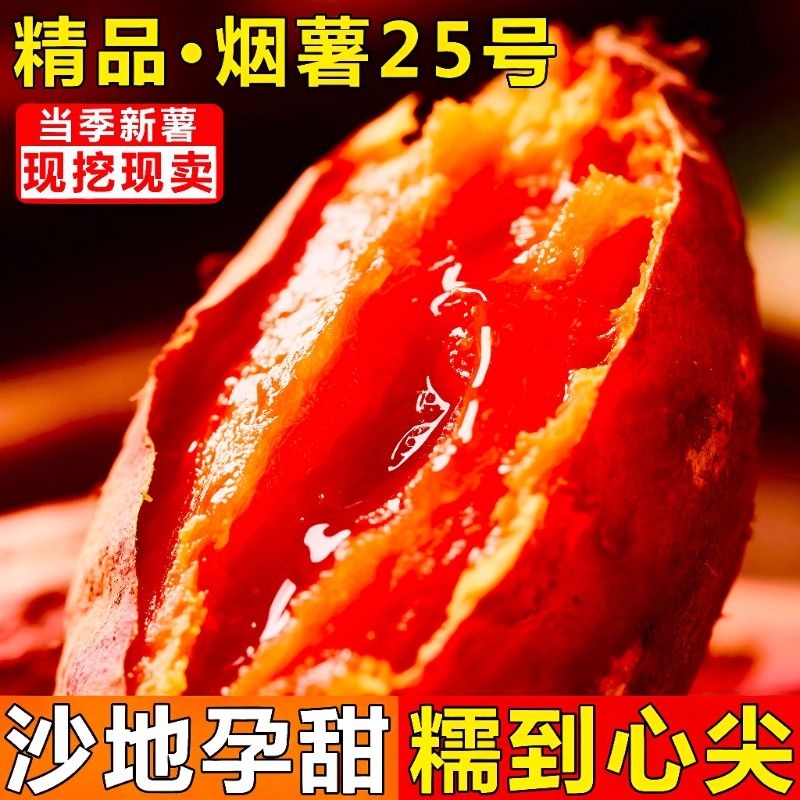 山东蜜薯烟薯25号农科院糖心地瓜红薯新鲜9斤农家番薯沙地烤山芋