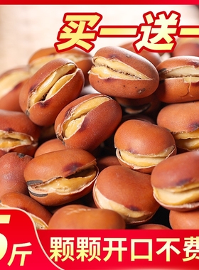 喜云祥湖南特产农家炒货干炒原味蚕豆胡豆豌豆炒花生怀旧休闲零食