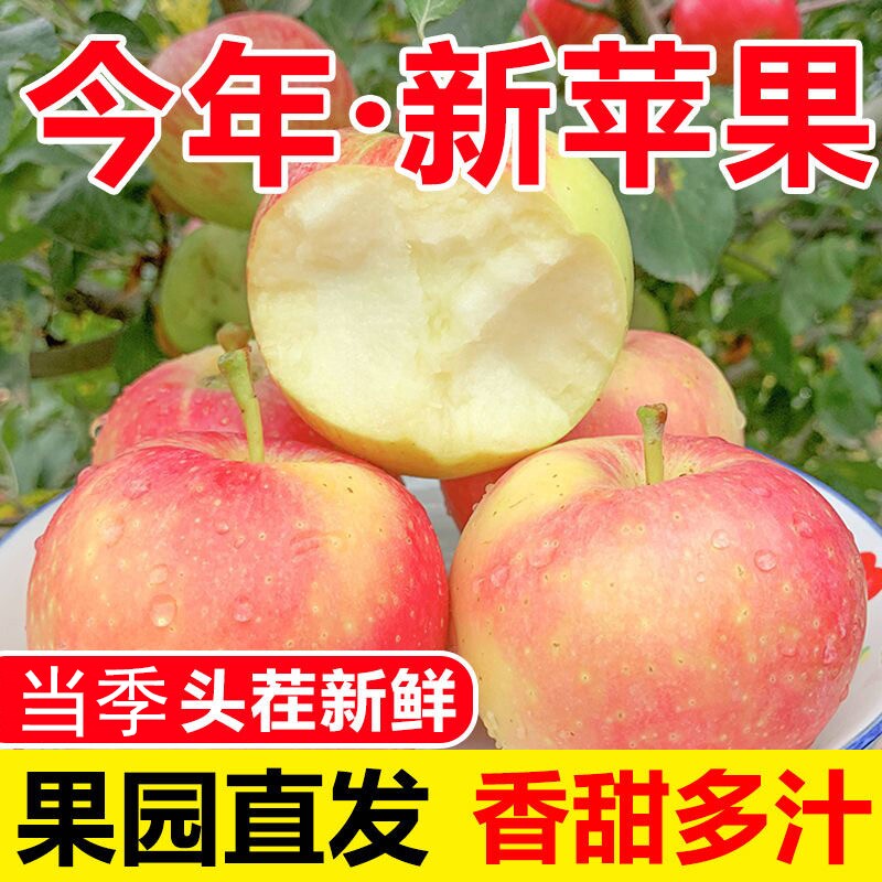特价新鲜红富士苹果冰糖心脆甜多汁应季水果包邮丑苹果当季年货节