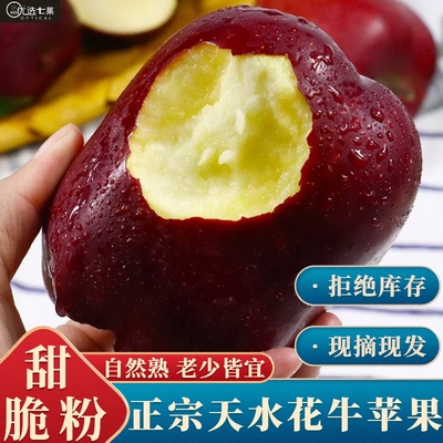 正宗甘肃天水花牛苹果新鲜水果整箱包邮粉面丑当季平果生鲜现摘