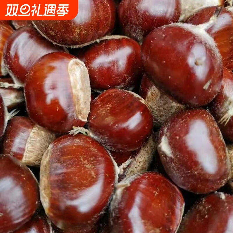 5斤 迁西板栗生新鲜栗子大河北唐山野生油栗子毛栗带壳结婚带壳