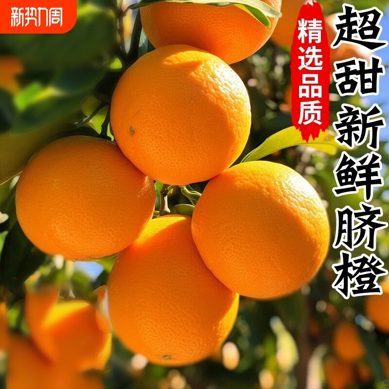 正宗纽荷尔脐橙大果新鲜水果橙子净重湖南特产应季果冻甜橙