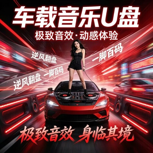 2026新款车载歌曲u盘音乐抖音流行高音质DJ音响MP3优盘无损经典
