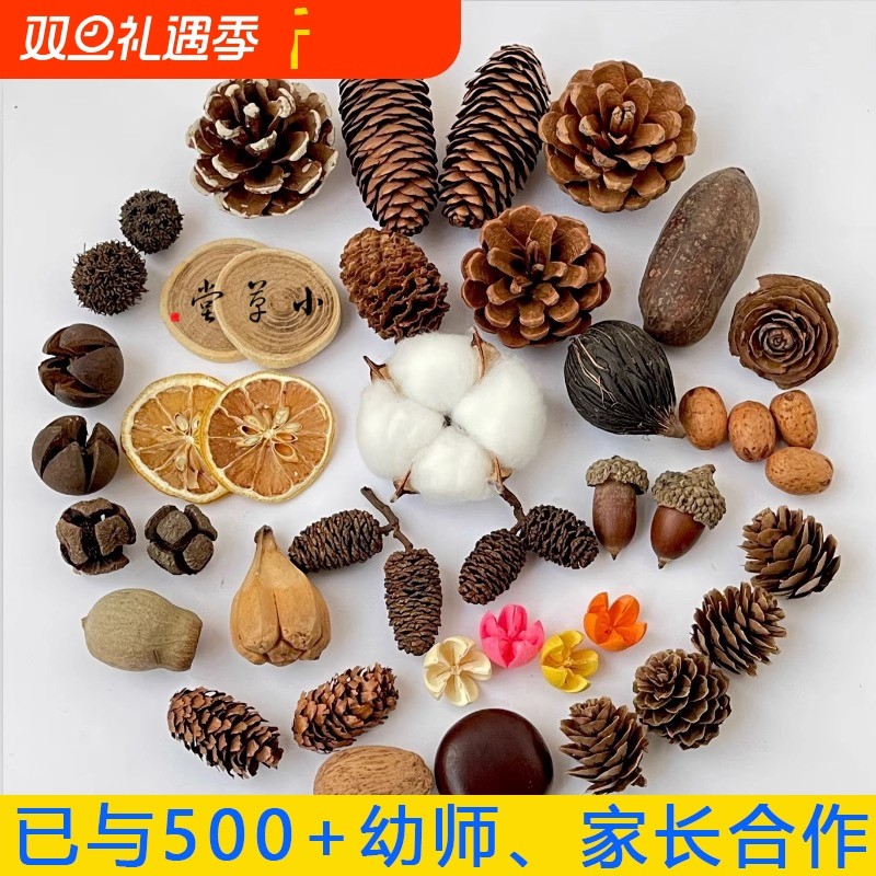 松果木片树叶干花干果组合圣诞diy手工橡果艺术品千层金棉花松针