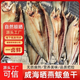 山东特产鲅鱼干一卤鲜咸鱼干淡晒干尖嘴燕鲅鱼非腌制马鲛鱼干货