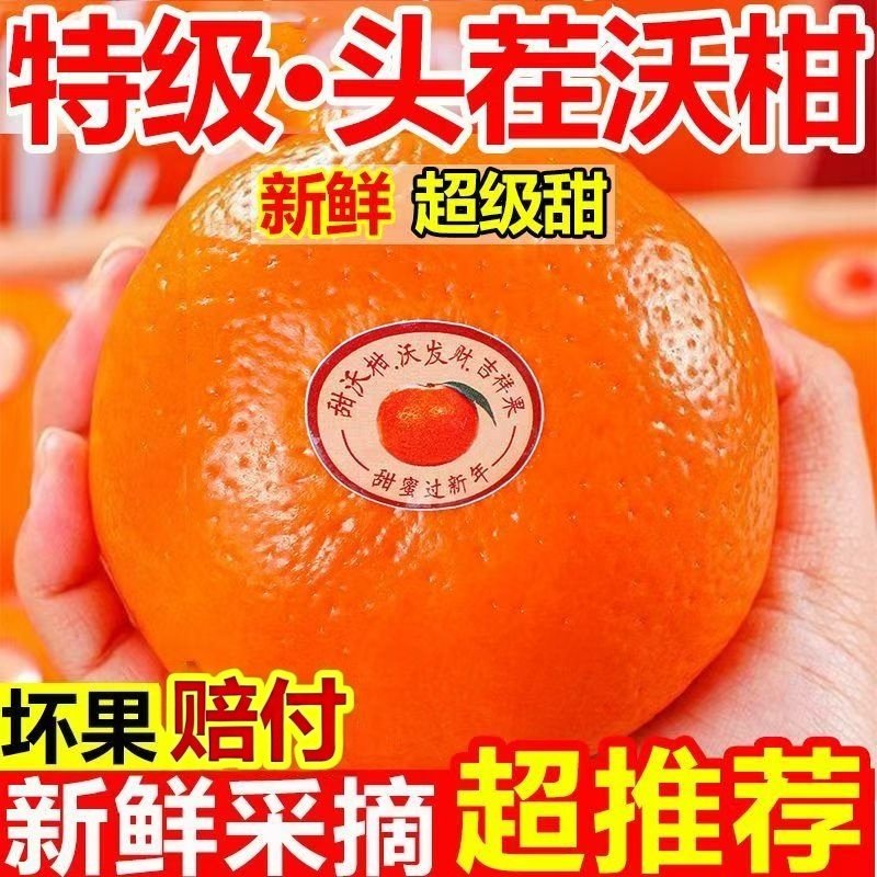 正宗沃柑新鲜采摘当季水果甜蜜砂糖多汁桔子橘子橙子5/9斤,水产肉类/新鲜蔬果/熟食,桔子,淘宝优惠券,粉丝福利购,淘宝优惠卷