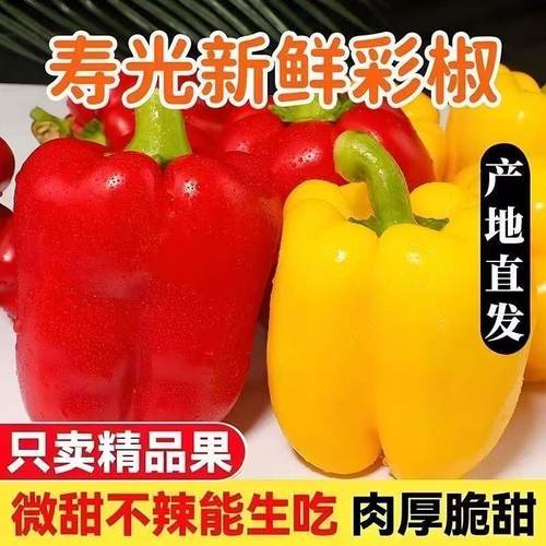 七彩辣椒五彩椒水果灯笼红辣椒新鲜小米椒甜朝天圆椒蔬菜青椒山东