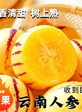 云南人参果新鲜大果圆果黄肉新鲜现摘树上熟七彩人生果整箱包邮