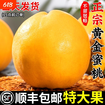 【5斤黄桃顺丰上门】脆甜多汁