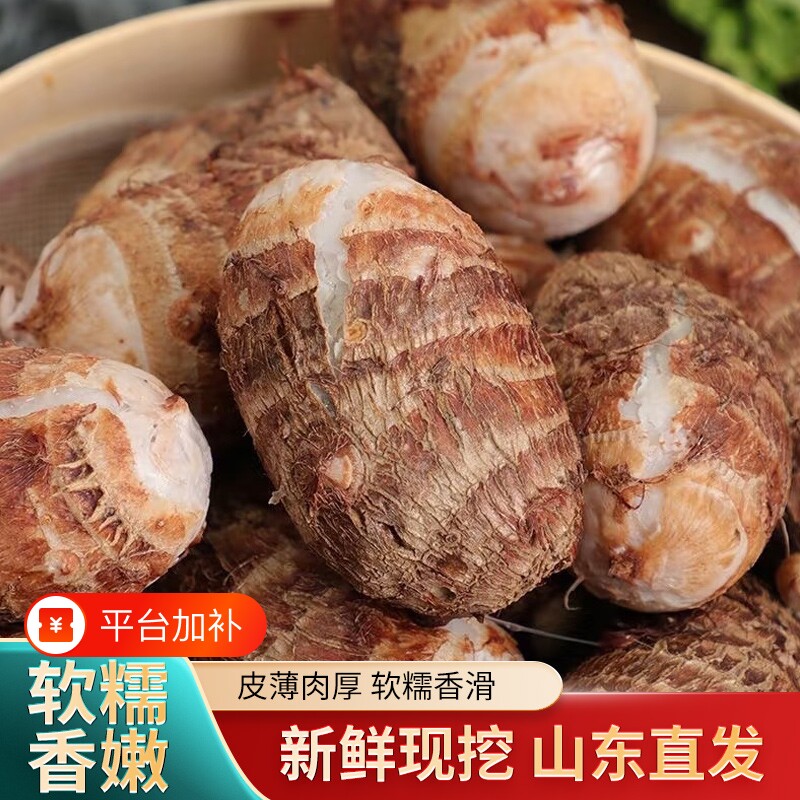 山东牛奶芋头新鲜小芋头毛芋小香粉糯产地直发软糯奶香芋艿