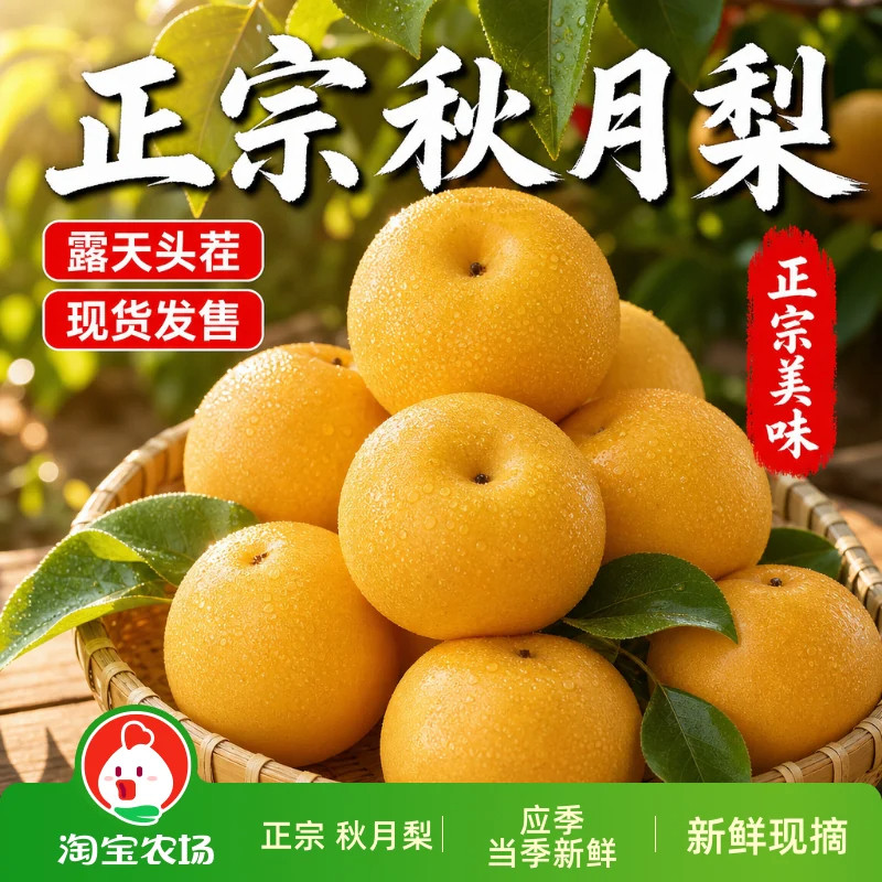 正宗秋月梨现摘直发水果新鲜当季冰糖雪梨子大果整箱包邮农场应季