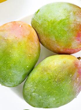 四川攀枝花凯特芒果新鲜水果当季整箱大青芒青皮包邮果肉现摘自提