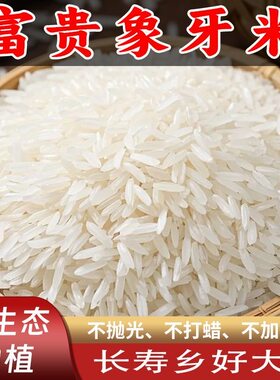 富贵象牙米正宗广西长粒香米新米猫牙稻香米籼米大米米饭当季食用