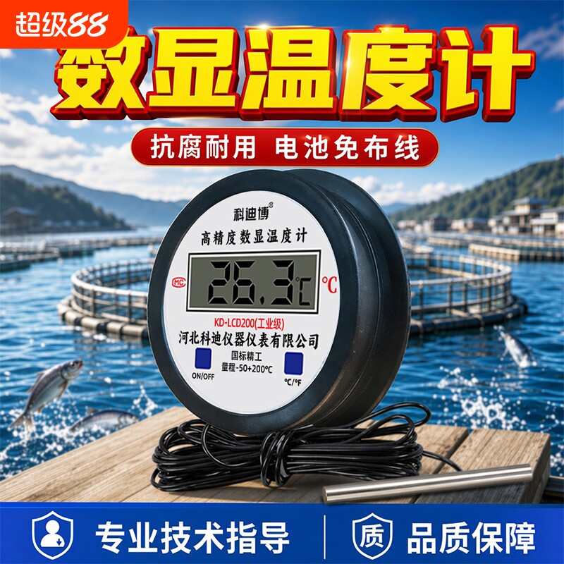 电子数显温度计带探头数字测温仪图片